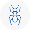 Ant Removals In Bexhill