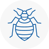 Bed Bug Extermination In Bexhill