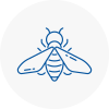 Bee Nest Removal Bexhill