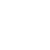 Domestic Ant Control For Bexhill