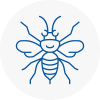 Bexhill Hornet Nest Removals