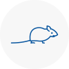 Mice Exterminators In Bexhill