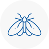 Moth Control Specialists In Bexhill