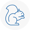 Bexhill Rodent Removals